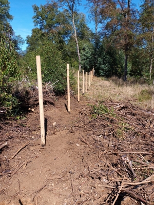Venta-de-Parcela-en-Panguipulli-EL-MONGE